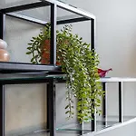 Tauernlodge Eben C1 * Эбен (Понгау)