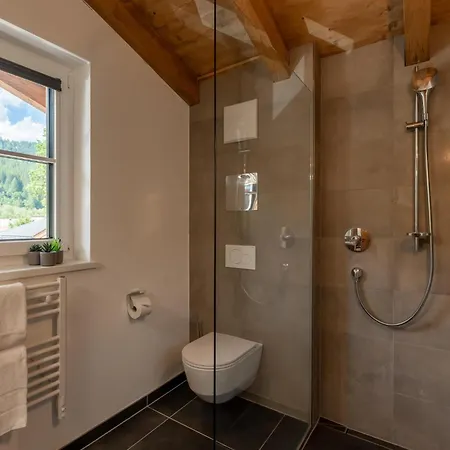 Tauernlodge Eben C1 * Eben Im Pongau