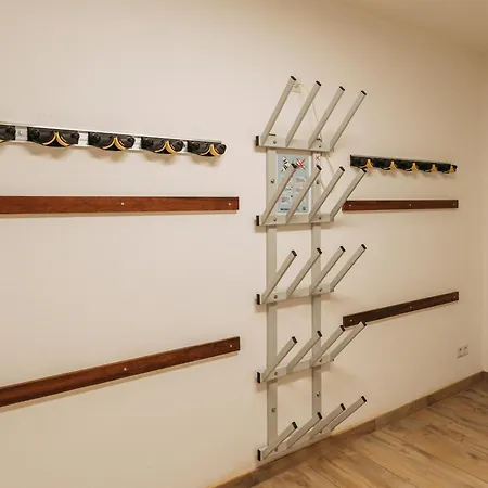 Tauernlodge Eben C1 埃本因蓬高