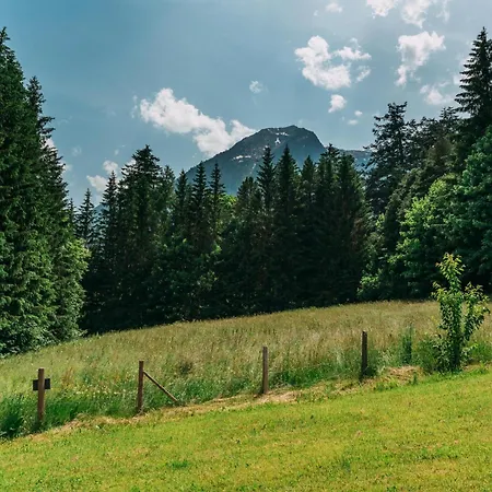 Tauernlodge Eben C1 * 埃本因蓬高