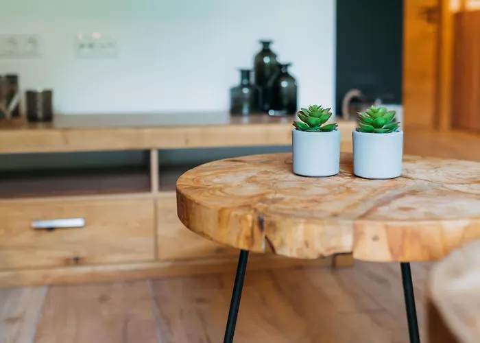 Dağ evi Tauernlodge Eben C1 Eben Im Pongau