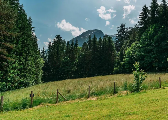 Tauernlodge Eben C1 * Eben Im Pongau